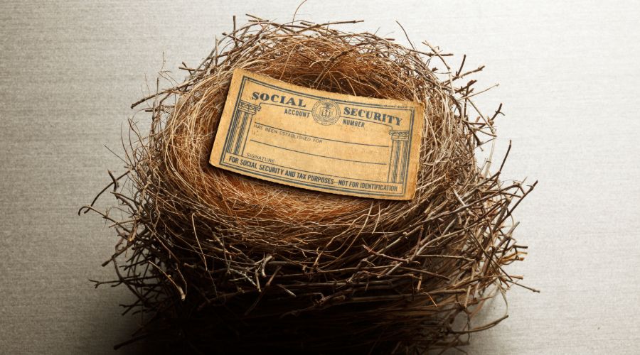 Social Security card laying in a nest