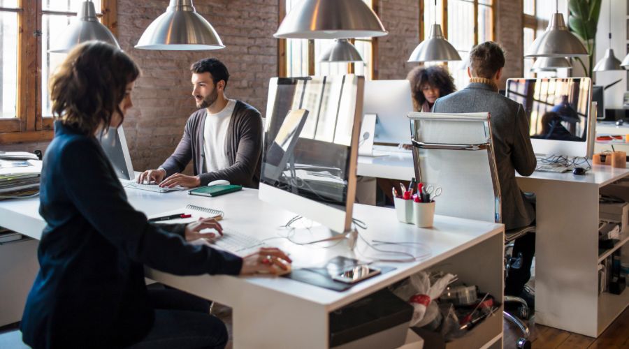small business employees work in an open office